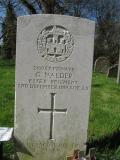 image of grave number 499890